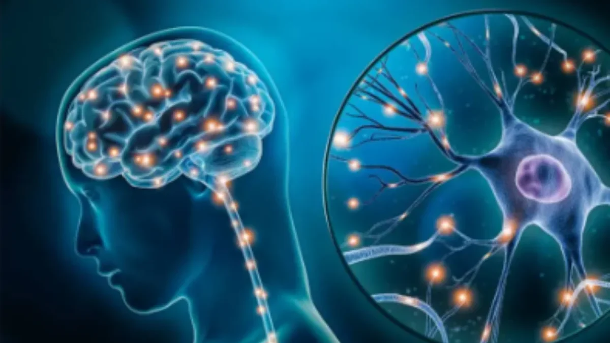 10 Penyebab Rusaknya Sistem Saraf Pada Manusia,Yuk Simak Apa Saja ! Foto