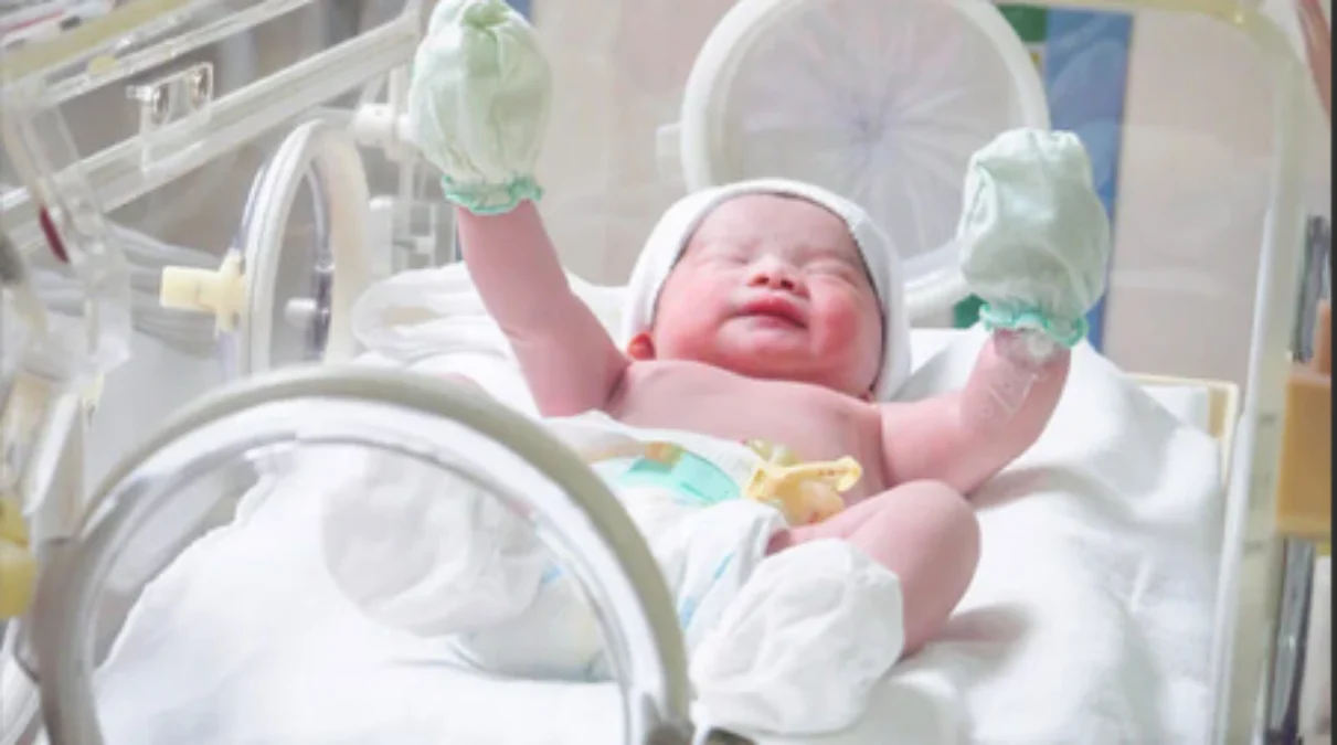 Tips Keberhasilan Prosedur Bayi Tabung Beserta Resiko Nya,Yuk Simak Di