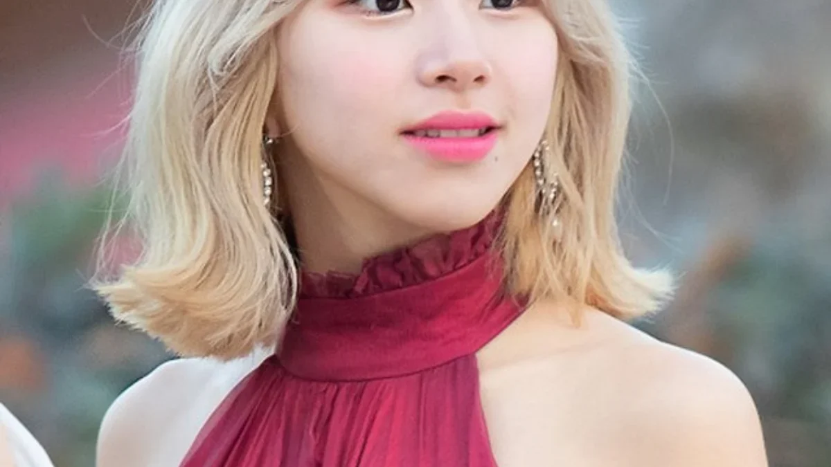 Chaeyoung Twice/Wikipedia