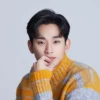 Kim Soo-hyun/detikcom