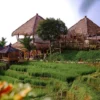 Ubud