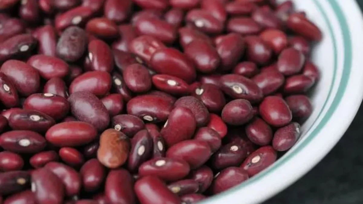 Bagus Banget untuk Kesehatan! Ternyata Inilah Manfaat Kacang Merah yang Harus Kamu Tahu manfaat kacang merah