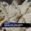 Samosa Khas Timur Tengah