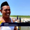 Petani Bendung Sungai, Minimalisir Gagal Panen