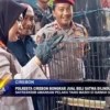 Polresta Cirebon Bongkar Jual Beli Satwa Dilindungi