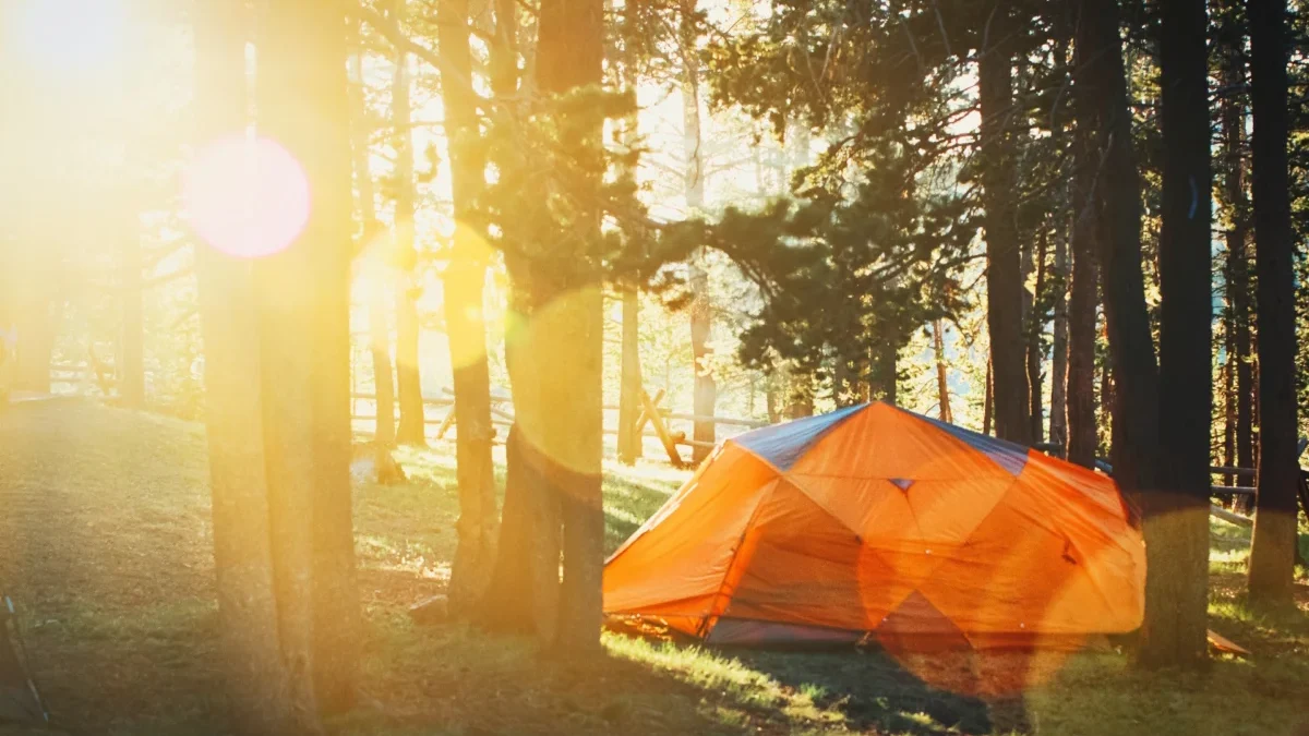 Isi Waktu Liburan dengan Kegiatan yang Menyenangkan, Inilah 4 Pilihan Tempat Camping di Jember camping