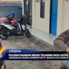 Puluhan Pasangan Mesum Terjaring Razia Satpol PP