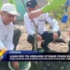 Lahan Eks TPA Grenjeng Ditanami Pohon Buah