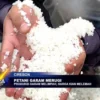 Petani Garam Merugi