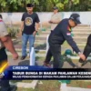 Tabur Bunga Di Makam Pahlawan Kesenden