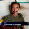 Petani Jagung Menjerit Akibat Pupuk Subsidi Dibatasi