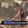 Keren, Di Majalengka Ada Gen Z Permakultur