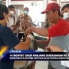 14 Monyet Ekor Panjang Diserahkan Ke BKSDA