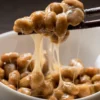 natto pro