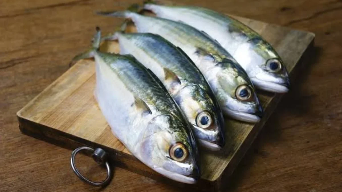 Ikan kembung