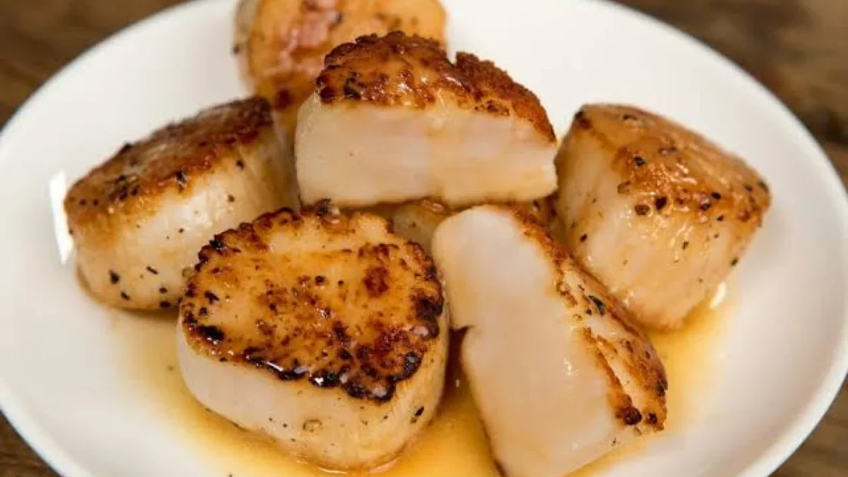 Scallop