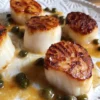 lezat scallop