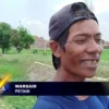 Ribuan Hektar Lahan Sawah Terkendala Pengairan