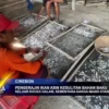 Pengrajin Ikan Asin Kesulitan Bahan Baku