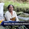 Warga Di Kec. Weru Terpaksa Cuci Pakaian Di Sungai