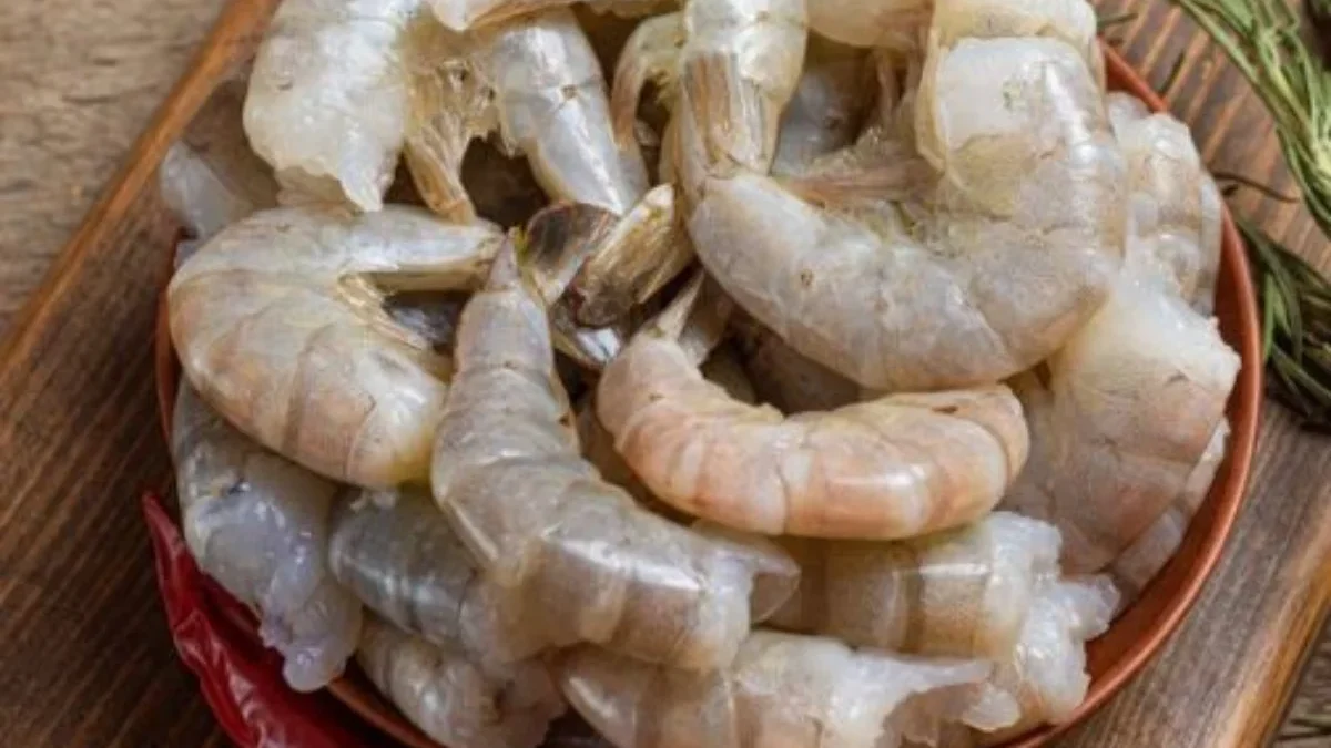 udang