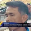 Waspada Pohon Rawan Tumbang Di Musim Hujan