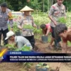 Polsek Talun Dan Warga Kelola Lahan Ketahanan Pangan