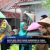 Kapolres Ciko Panen Kangkung & Cabai