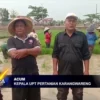 Tanam Padi Desa Karanganyar Lebih Awal