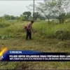 Polsek Depok Kolaborasi Dinas Pertanian Buka Lahan