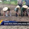 Polsek Depok Cirebon Tanam Jagung Perdana