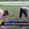 Kapolresta Cirebon Cek Lahan Ketahanan Pangan