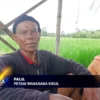 Jelang Musim Tanam Petani Mengeluh