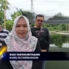 Pemdes Sutawinangun Bangun Kluster Ketapang