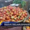 Penjualan Tomat Alami Peningkatan