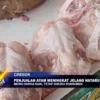 Penjualan Ayam Meningkat Jelang Nataru