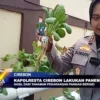 Kapolresta Cirebon Lakukan Panen