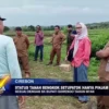 Status Tanah Bengkok Setupatok Hanya Pinjam Pakai