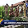 Kabel Tanam Dianggap Ganggu Fungsi Saluran