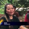 Nikmati Sensasi Makan Durian Langsung Dari Pohonnya