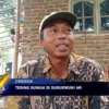 Tebing Sungai Di Sumurwuni Argasunya Longsor