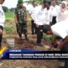 Menanam Tanaman Pangan di Hari Desa Nasional