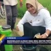 Maksimalkan Alokasi Dana Desa Sektor Pertanian