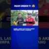 Kabel Lampu PJU Putus Akibat Tertimpa Pohon Tumbang