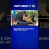 Beras SPHP Dan Telur Murah Diburu Masyarakat