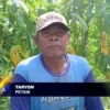 Petani Desa Babadan Bersiap Masuki Musim Tanam