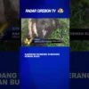 Kandang Kambing Diserang Hewan Buas