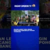 Hujan Lebat Dan Angin Kencang Sebabkan Pohon Tumbang