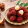 rambutan