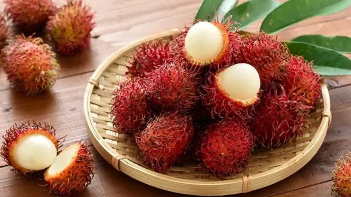 rambutan